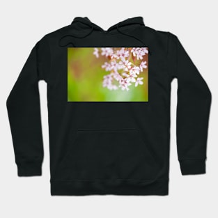 Cherry Bossom Hoodie